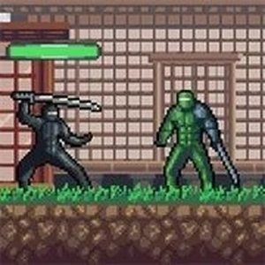 Ninja Stealth Castle Adventure