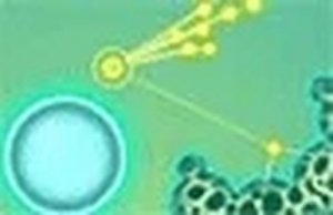 Gen Online Game - Family Puzzle Game