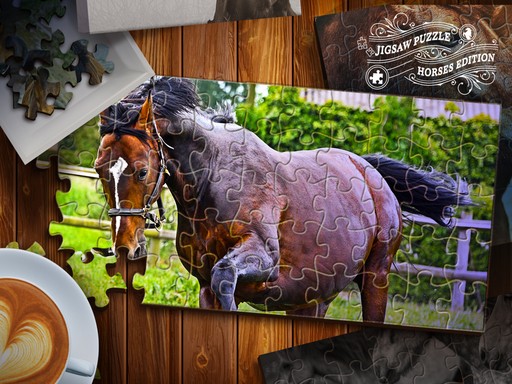 Horse Puzzle Adventure