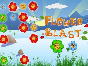 Flower Match Puzzle