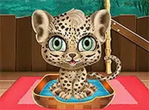Jungle Animal Hair Salon Online Game - Dress Up Game