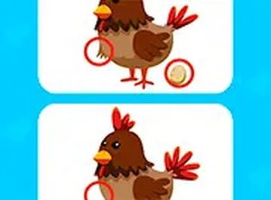Find the Differences Online Puzzle Game