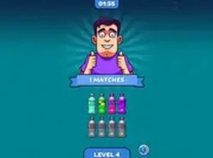 Bottle Color Match Challenge Puzzle Game Online - Puzzle Game