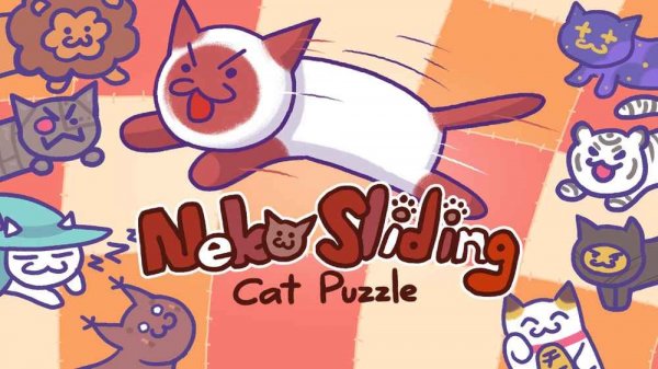 Feline Row Puzzle
